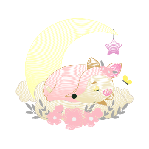 Cat Animals Cat Animals