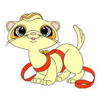 Cat Animals Cat Animals