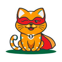 Cat Animals Cat Animals