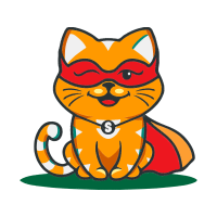 Cat Animals Cat Animals