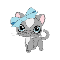 Cat Animals Cat Animals