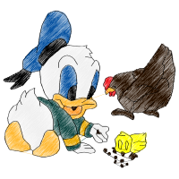 Chicken Animals Chicken Animals