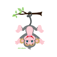 Image Animals Image Animals