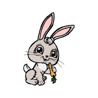 Coloring Book Animals