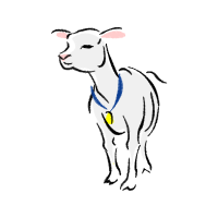 Cotswold Sheep Animals Cotswold Sheep Animals