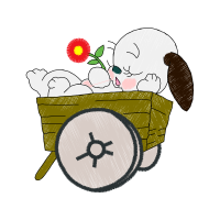 Cut Flowers Animals Cut Flowers Animals