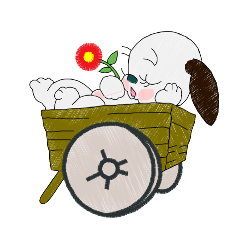 Cut Flowers Animals Cut Flowers Animals