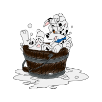 Dalmatian Dog Animals