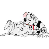 Dalmatian Dog Animals