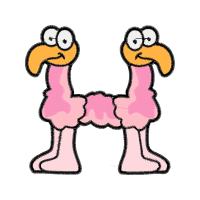 Dog Animals Dog Animals