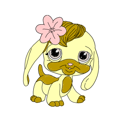 Dog Animals Dog Animals