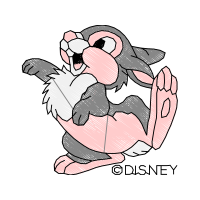 Dog Animals Dog Animals