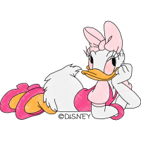 Domestic Rabbit Animals