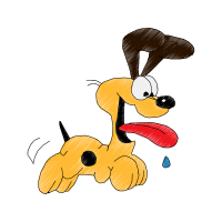 Domestic Rabbit Animals