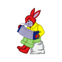 Domestic Rabbit Animals