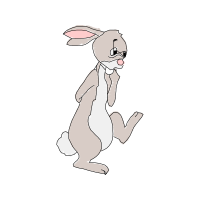 Domestic Rabbit Animals