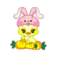 Domestic Rabbit Animals