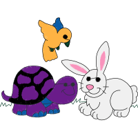 Domestic Rabbit Animals