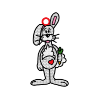 Domestic Rabbit Animals