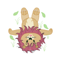 Domestic Rabbit Animals