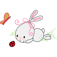 Domestic Rabbit Animals Domestic Rabbit Animals