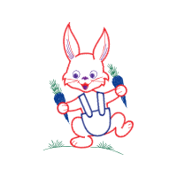 Domestic Rabbit Animals Domestic Rabbit Animals