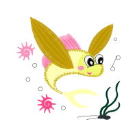 Domestic Rabbit Animals