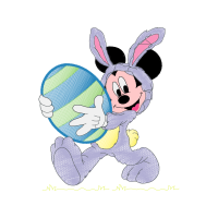 Domestic Rabbit Animals