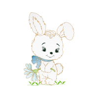 Domestic Rabbit Animals Domestic Rabbit Animals