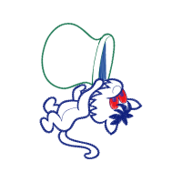 Domestic Rabbit Animals