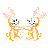 Domestic Rabbit Animals