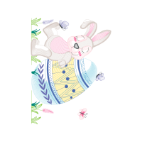 Domestic Rabbit Animals