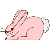 Domestic Rabbit Animals