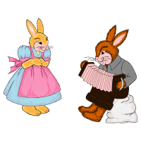 Domestic Rabbit Animals