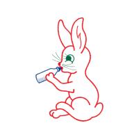 Domestic Rabbit Animals