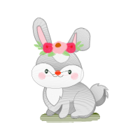 Domestic Rabbit Animals