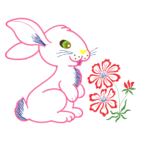 Domestic Rabbit Animals