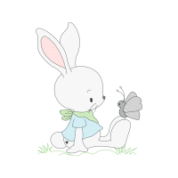 Domestic Rabbit Animals