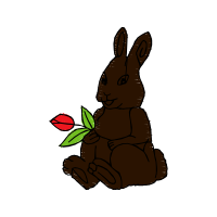 Domestic Rabbit Animals