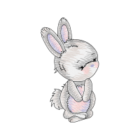 Domestic Rabbit Animals