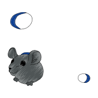 Domestic Rabbit Animals