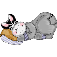 Domestic Rabbit Animals