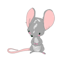 Domestic Rabbit Animals