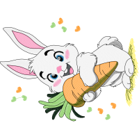 Domestic Rabbit Animals