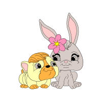 Domestic Rabbit Animals