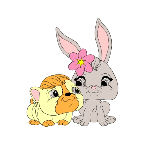 Domestic Rabbit Animals Domestic Rabbit Animals