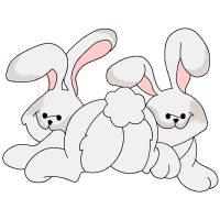 Domestic Rabbit Animals