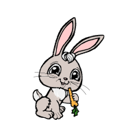 Domestic Rabbit Animals