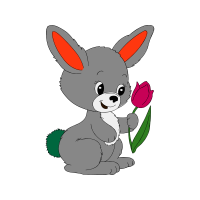 Domestic Rabbit Animals