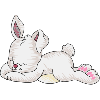 Domestic Rabbit Animals